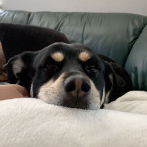 Meet your Posher, Alexandria